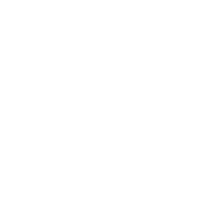 Veronis Marine logo